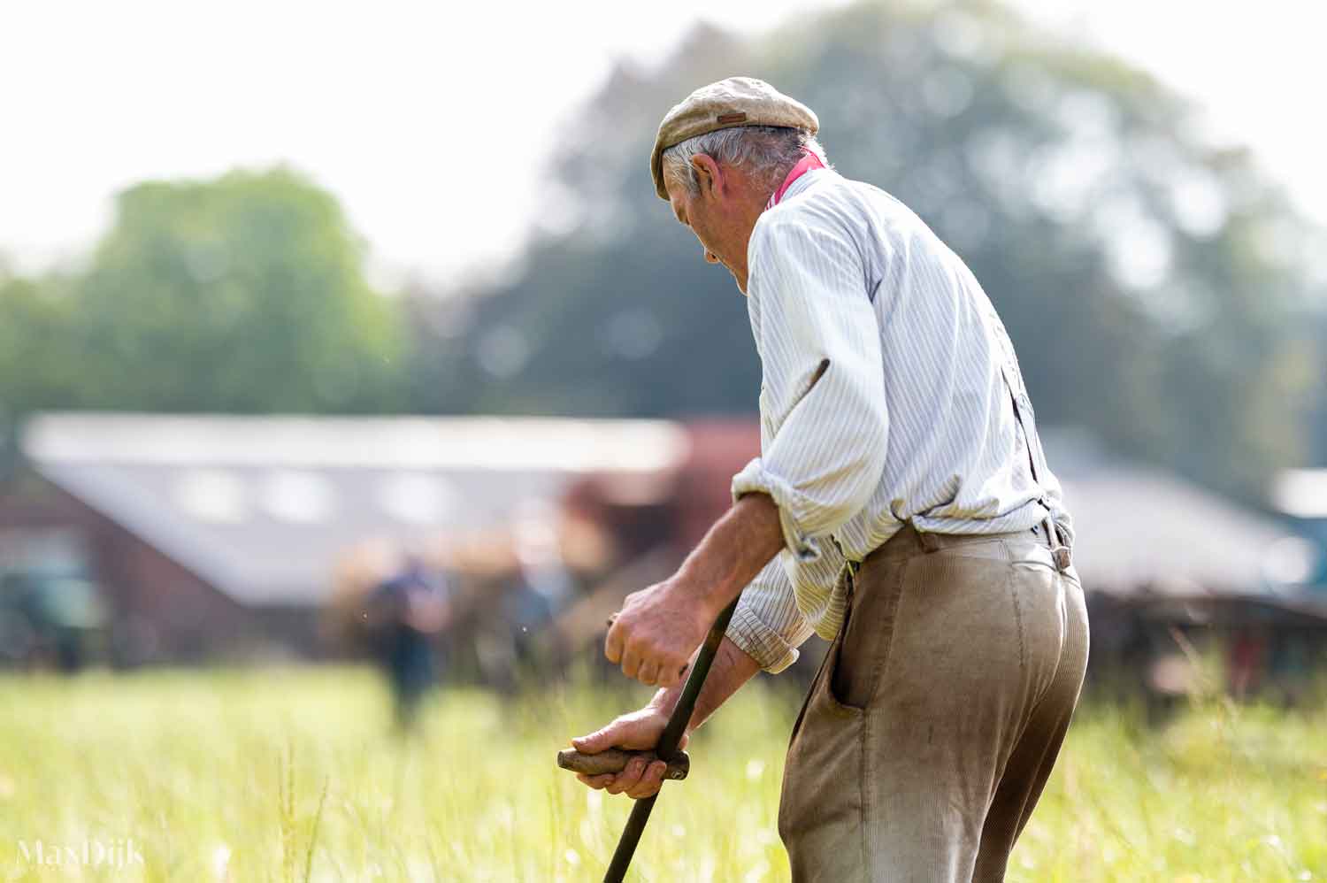 Boerendag_10082024_MaxDijkFotografie_045