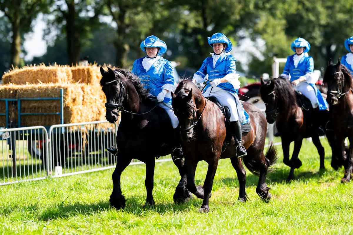 Boerendag_10082024_MaxDijkFotografie_098